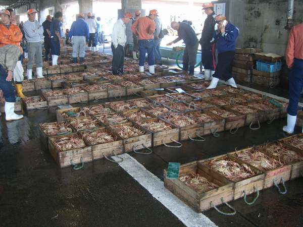 セリでにぎわう香住港