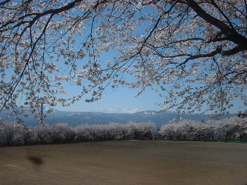 This photo about Pension Big Forest shared on HyHotel.com