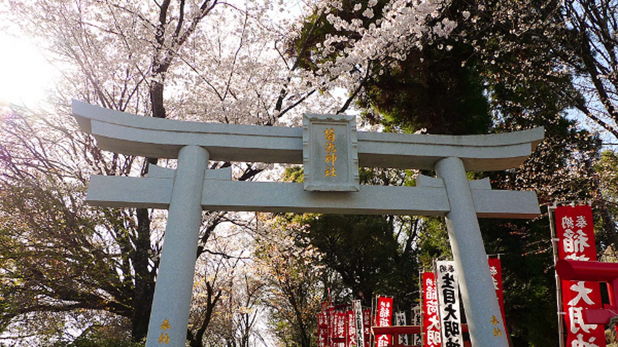 菊池神社