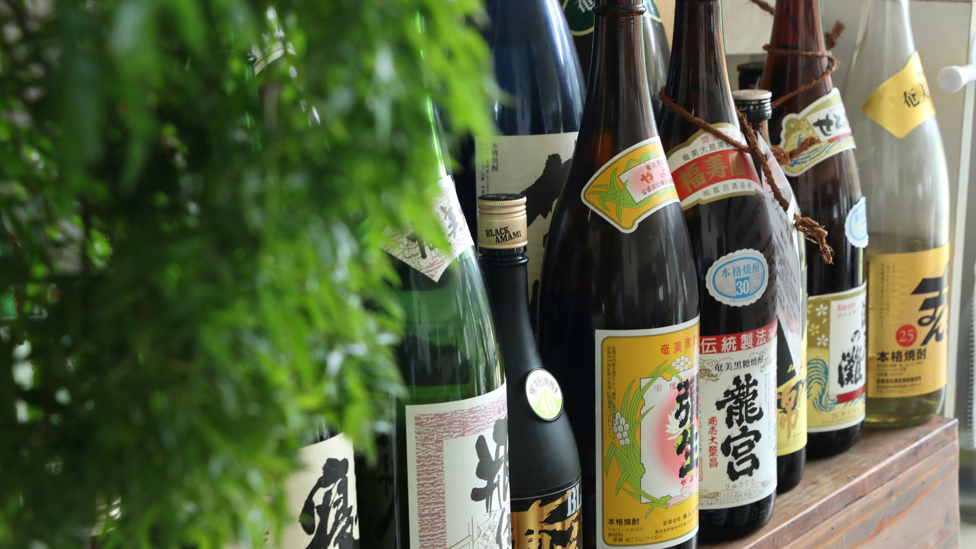 地酒