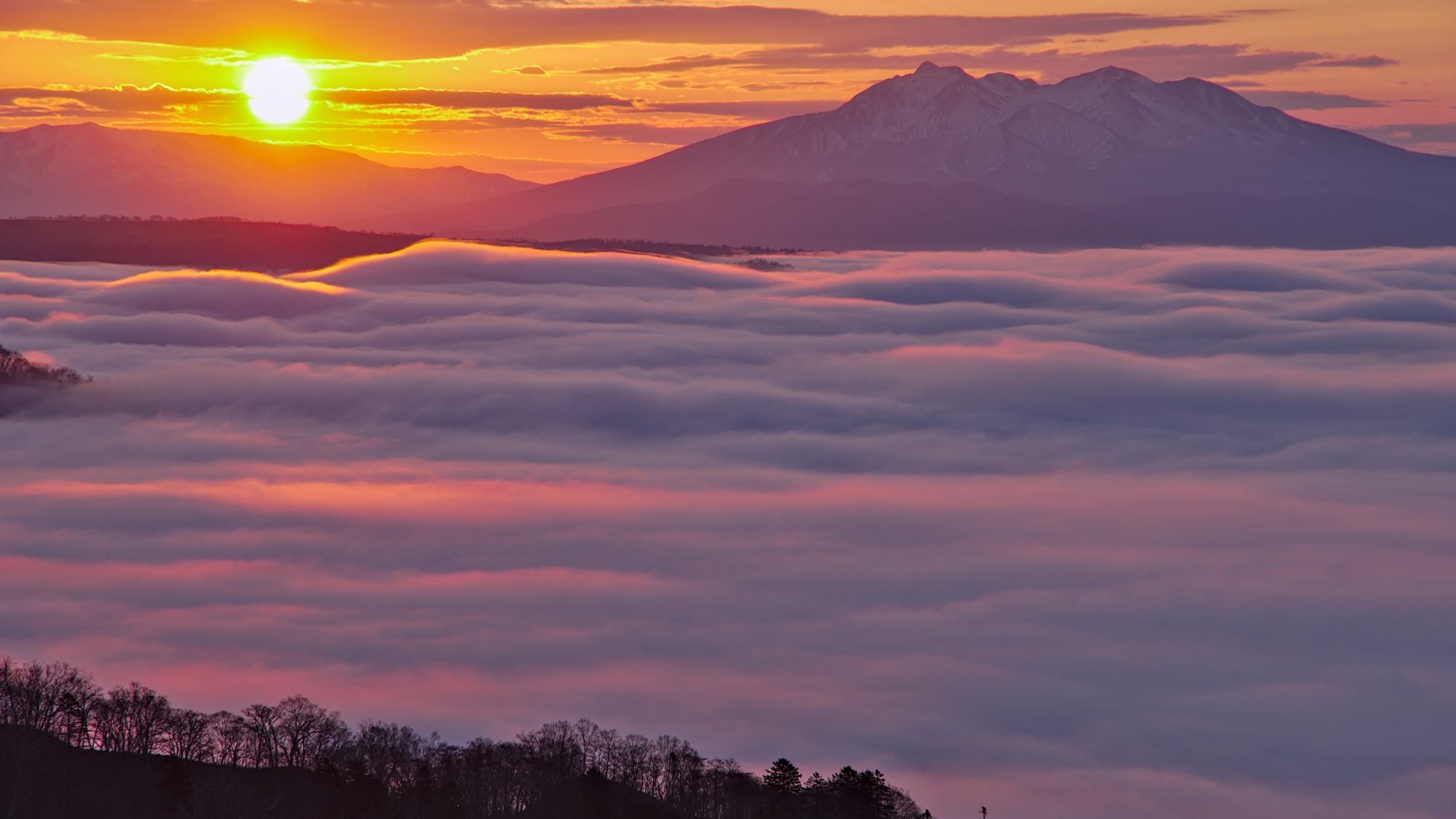 雲海を照らす朝陽。美幌峠から