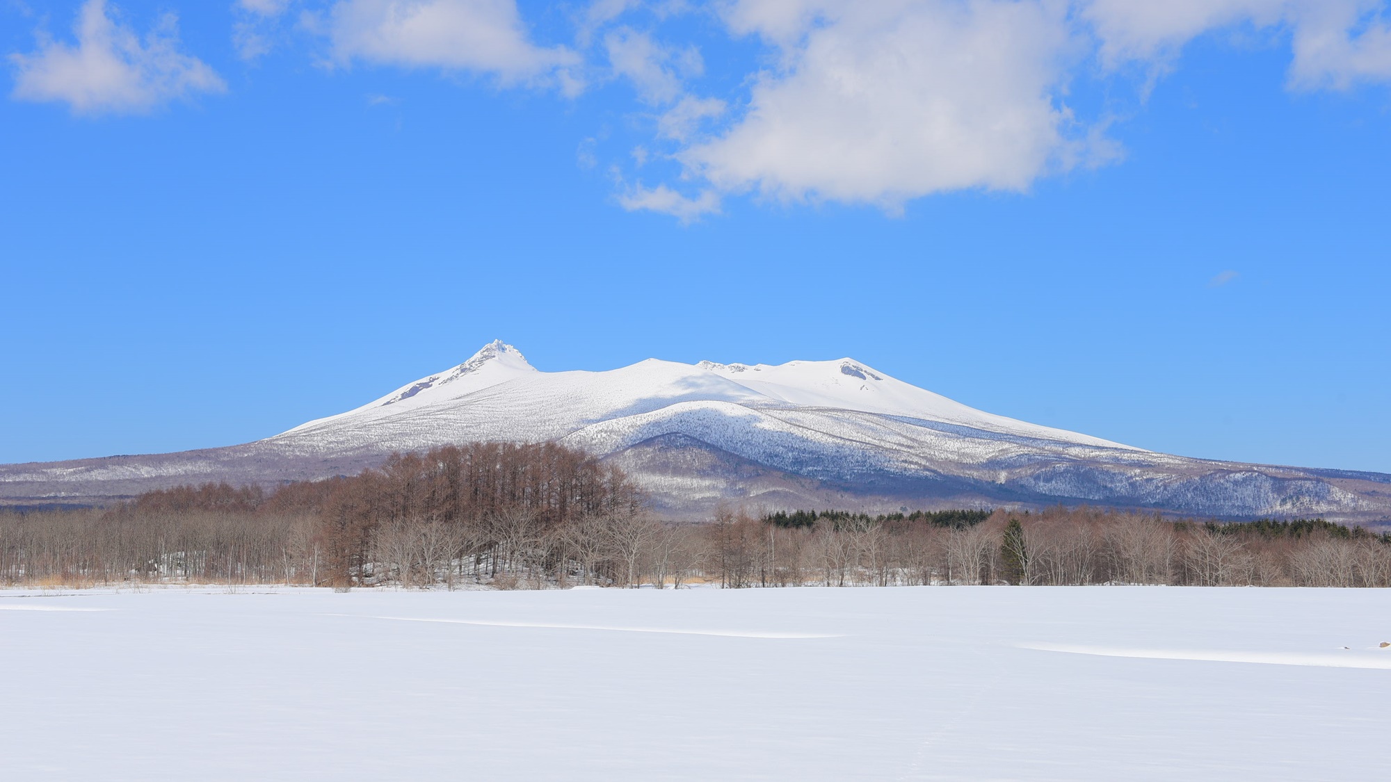 *駒ヶ岳/函館市街からもその美しい稜線が望める、標高1131メートルの活火山です。