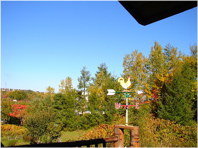 紅葉の眺め 10秋up