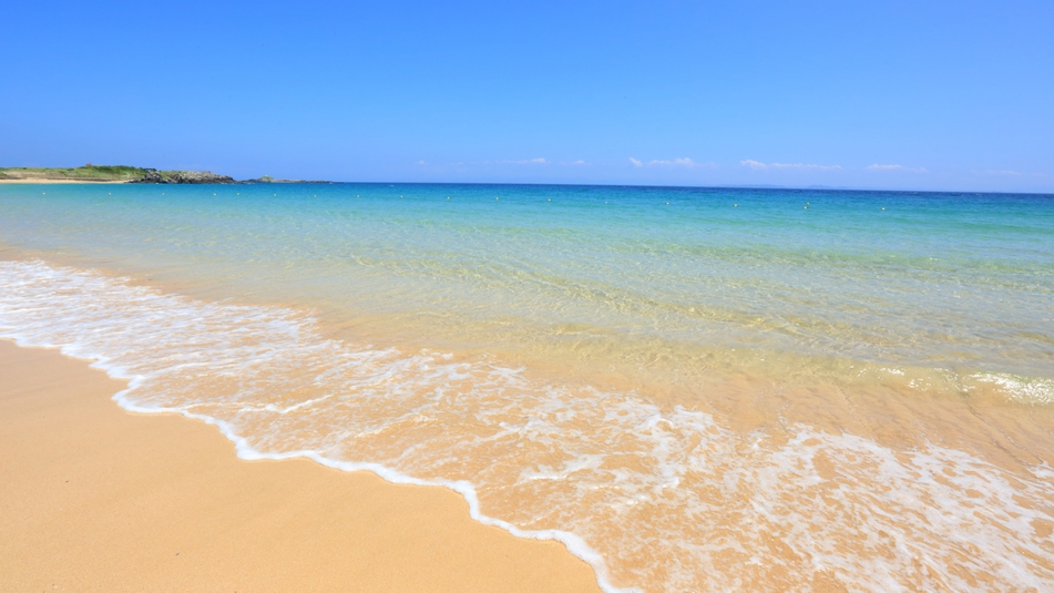 *【錦浜海水浴場】白い砂浜とエメラルドグリーンが素敵♪小さい綺麗な貝殻がたくさん見つけられ人気！