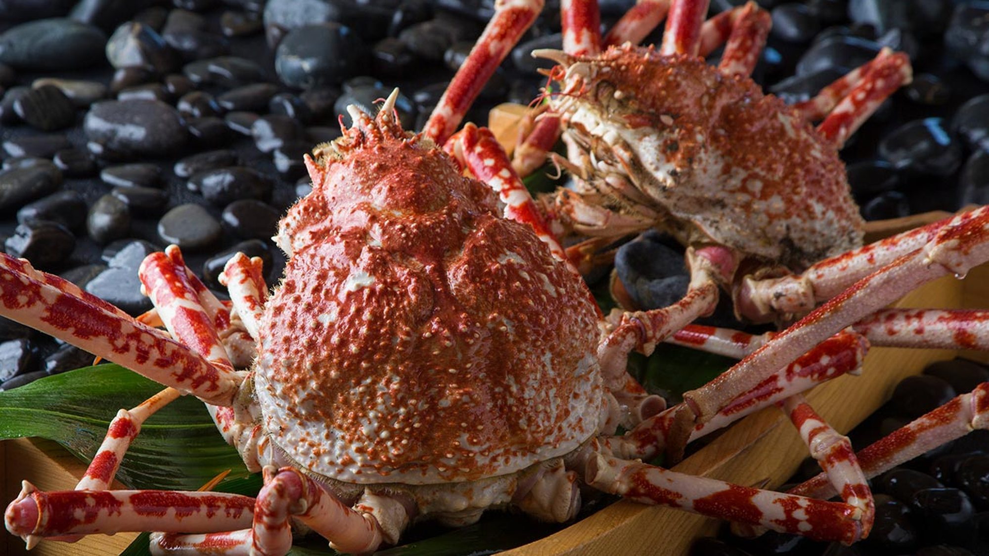 特選深海魚会席／世界最大の蟹「タカアシガニ」を楽しめる会席。贅を尽くしたお料理の数々を（イメージ）