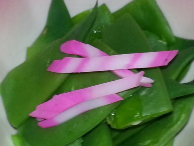 ヨロン島産のお野菜