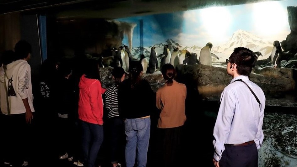 閉館後の水族館を探検！