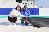 【チェックアウト日体験】イルカにタッチ！体験付プラン