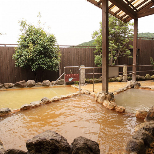 豊富な湯と“;ゆの花”;が特徴の炭酸泉（女性浴場）