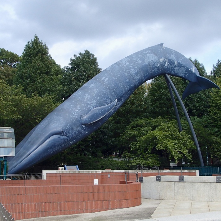 実物大のシロナガスクジラ