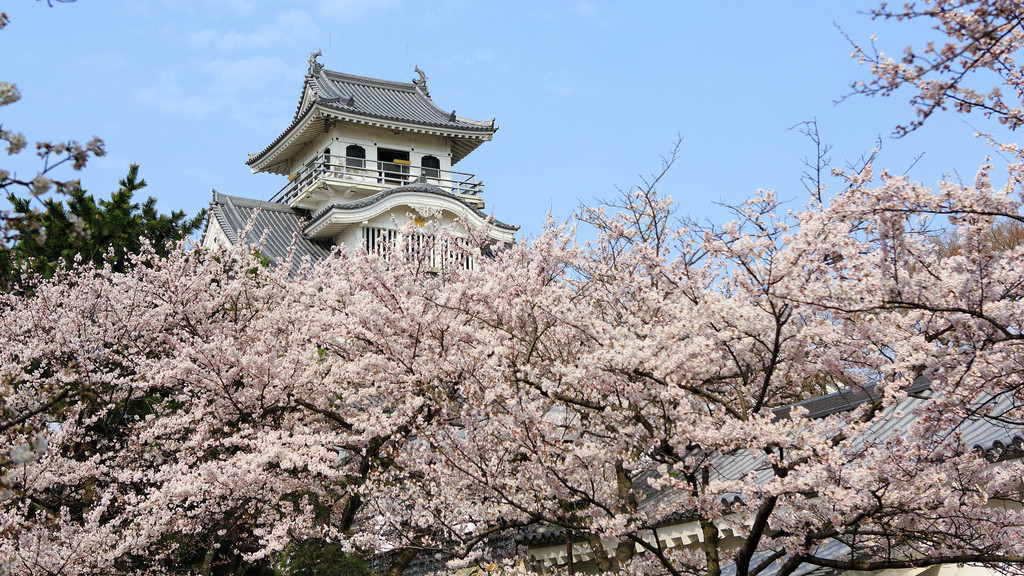 日本さくら名所100選『豊公園』はホテルの目の前。