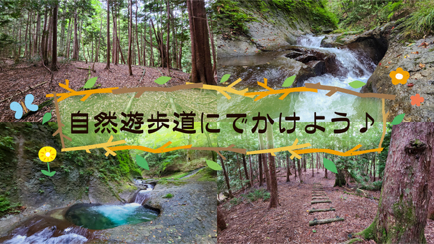 遊歩道を楽しもう