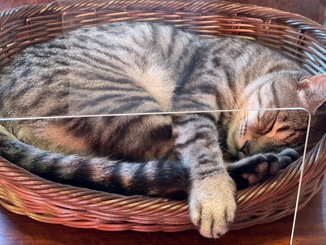 寝てませんフロント待機中です