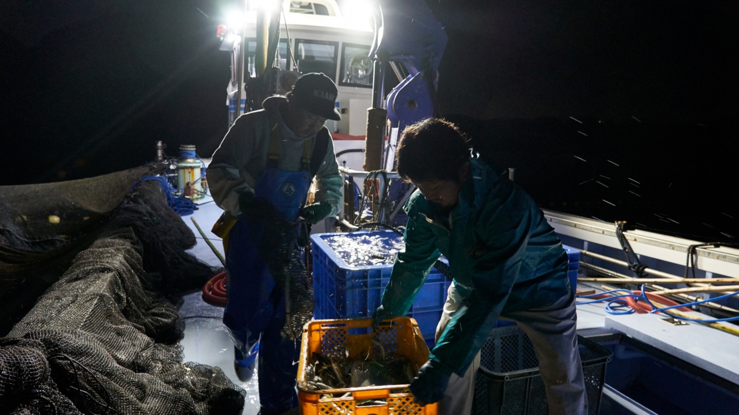 とれたての鮮魚をご提供するために、早朝から漁を行います。