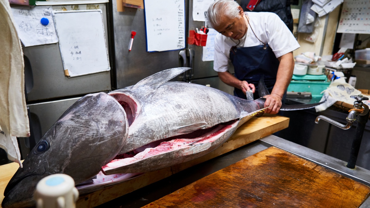 大将自ら本マグロを解体します！