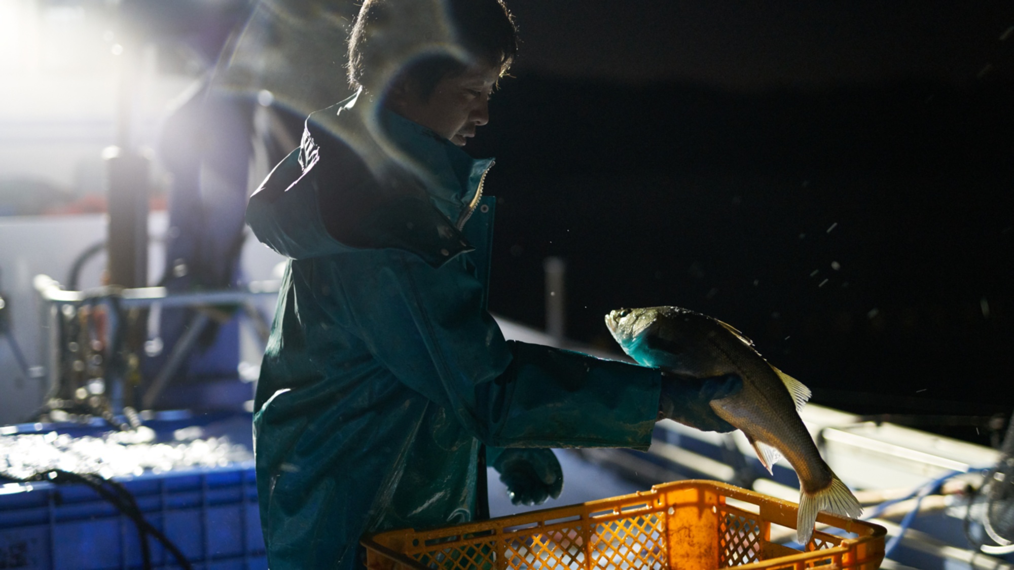 とれたての鮮魚をご提供するために、早朝から漁を行います。