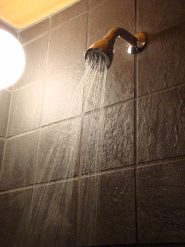 本館『ほていや』の浴室（水形自在ヘッド）