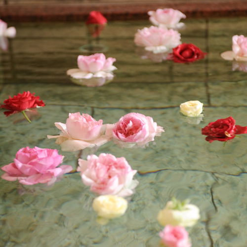 【お風呂】季節のバラを浮かべたお風呂です。