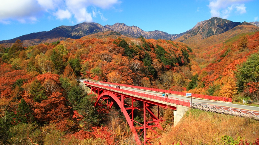 秋の紅葉絶景スポット赤い橋