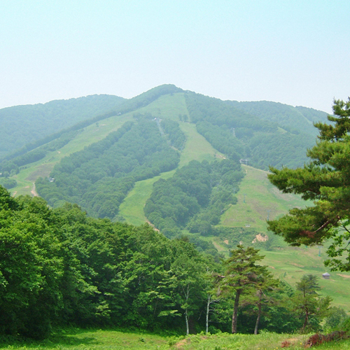 *斑尾山(夏)