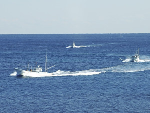 漁港からの１コマ