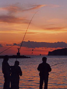 勝浦漁港の夕景（１）