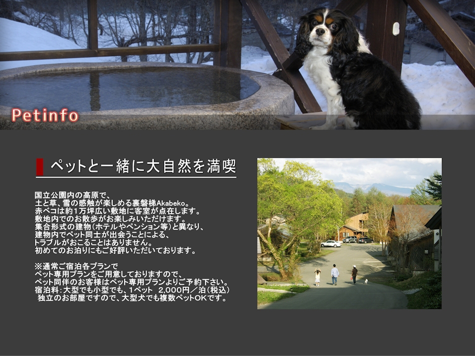 ｎａｔｕｒｅ ｃｏｔｔａｇｅ ａｋａｂｅｋｏ ペットinfo 楽天トラベル