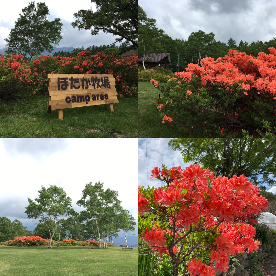 Pension Rapan Main Image Pension Rapan, Katashina