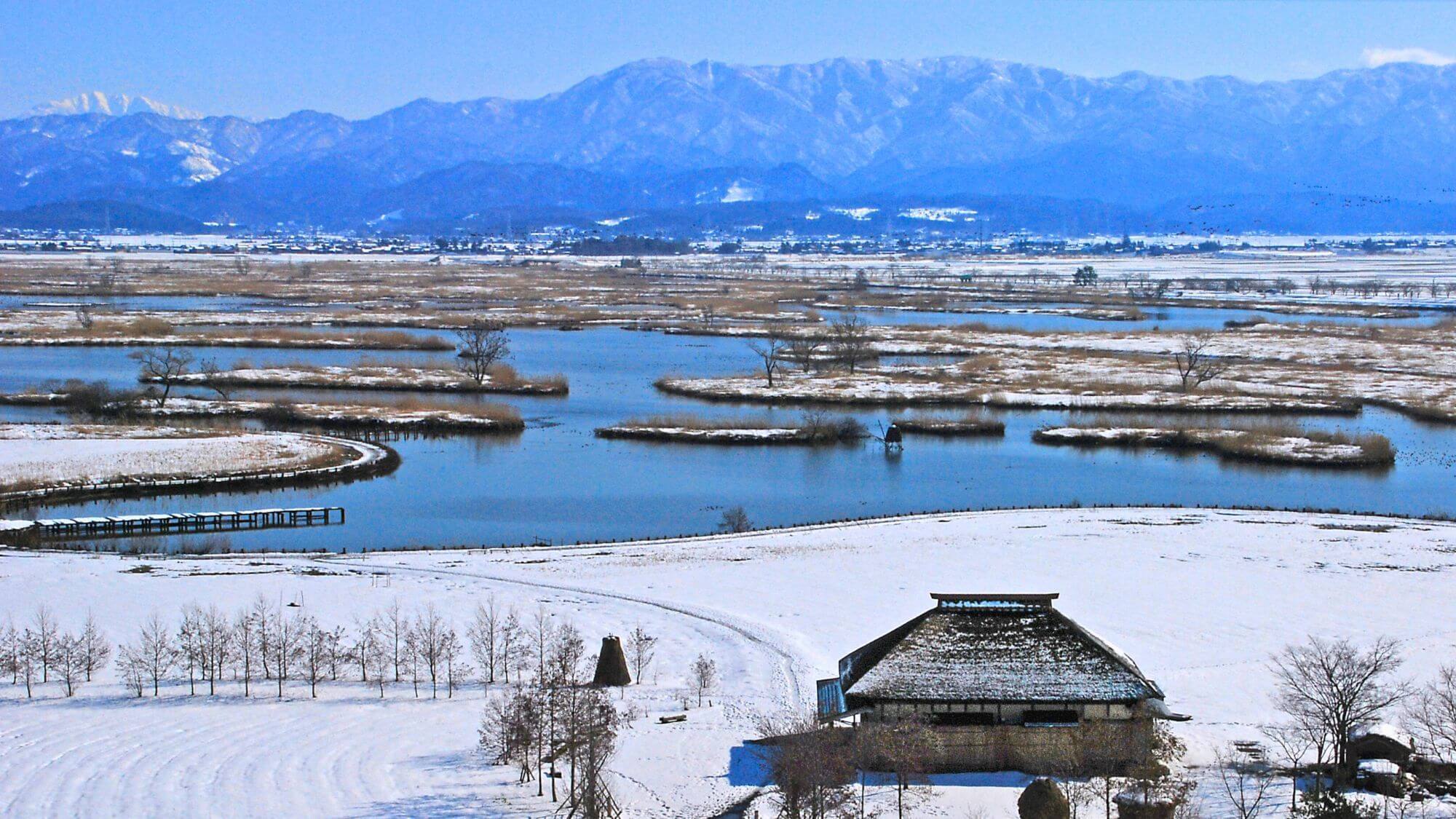 【福島潟】お車で約15分。冬は雪に覆われた景色や、白鳥など多くの渡り鳥を観察することができます。