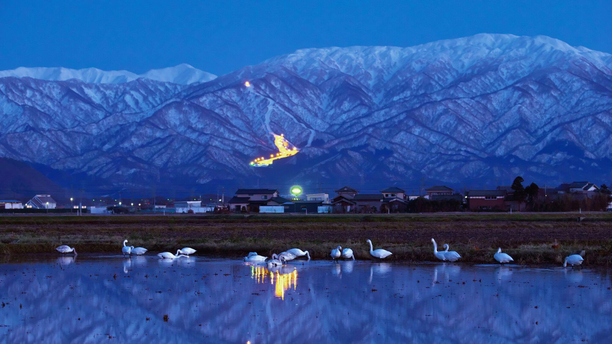 【二王子岳】冠雪した二王子岳が水鏡に映る、冬ならではの景色です。