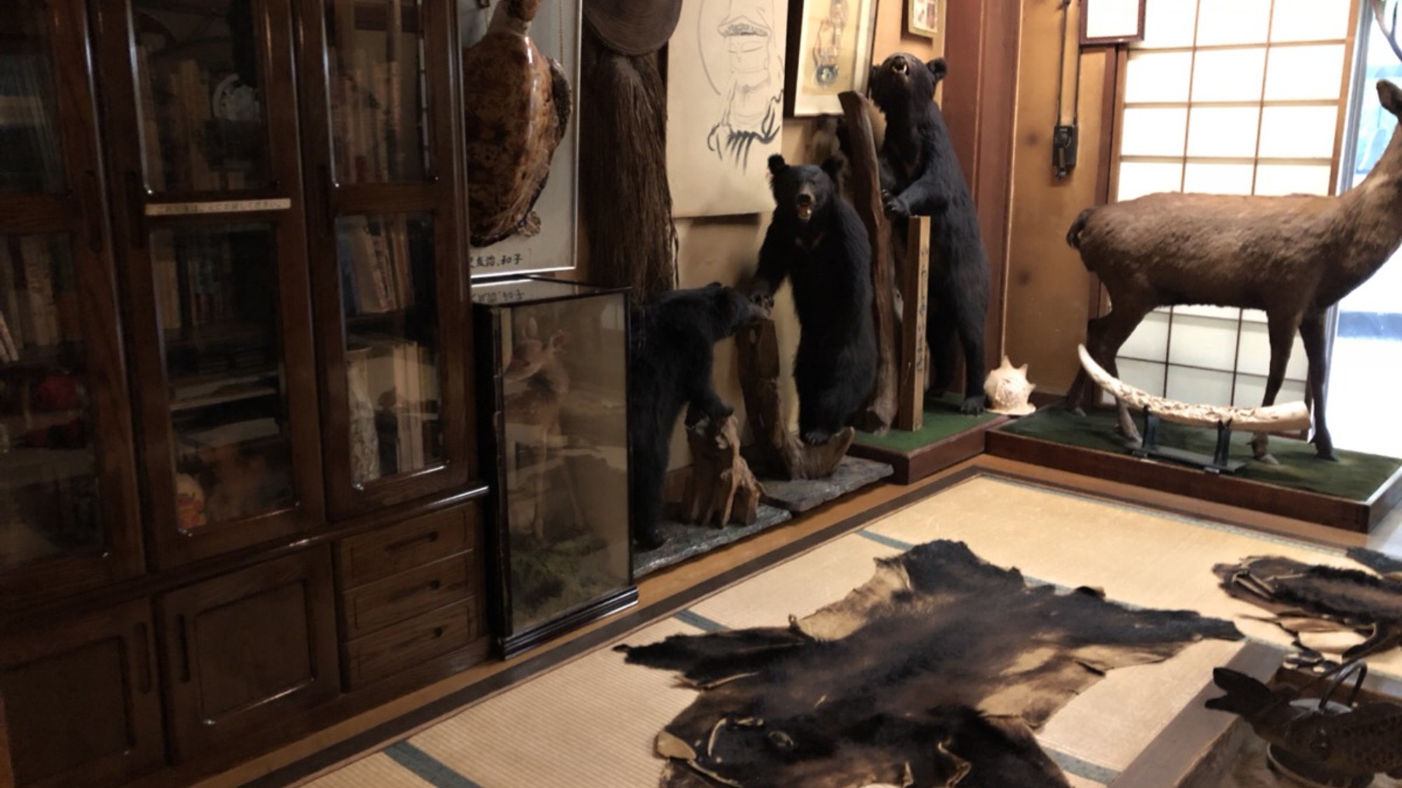 【施設】ロビーの囲炉裏／動物のはく製やクマの毛皮のはく製があります