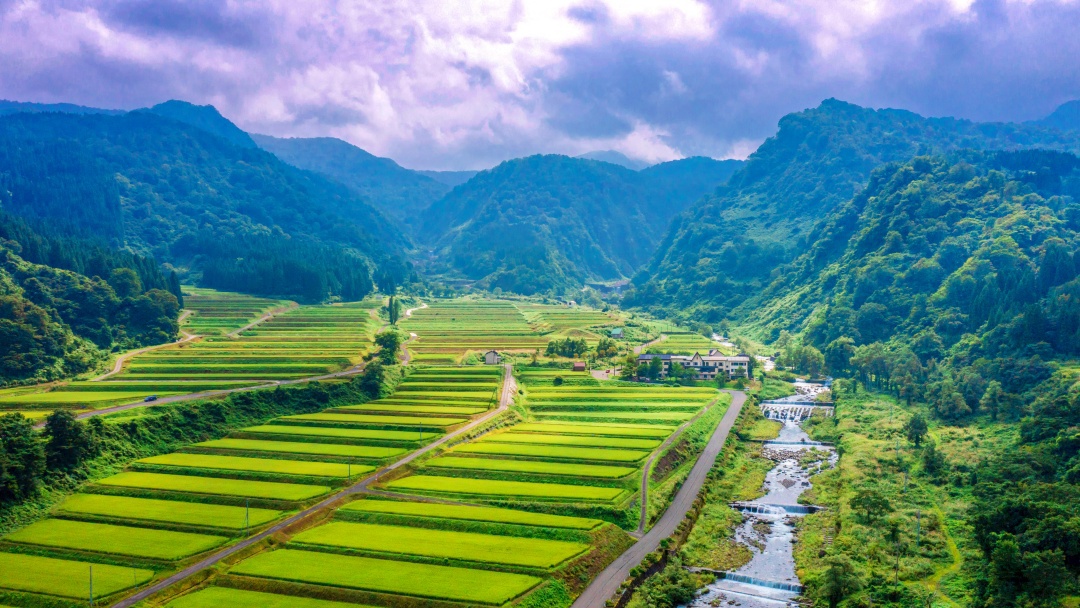 田園風景