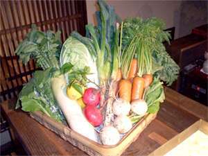 契約農家より届く新鮮な野菜を使って調理