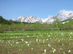 栂池
