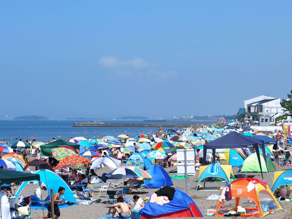 やどかりの近くの波左間海岸