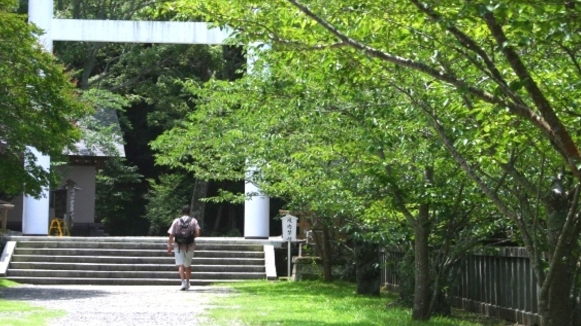 安房神社参道