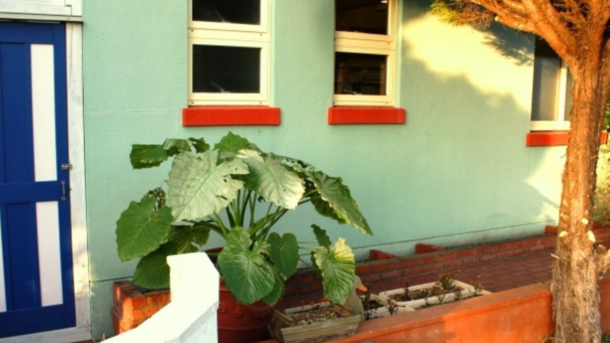 カラフルな色の外壁と植栽
