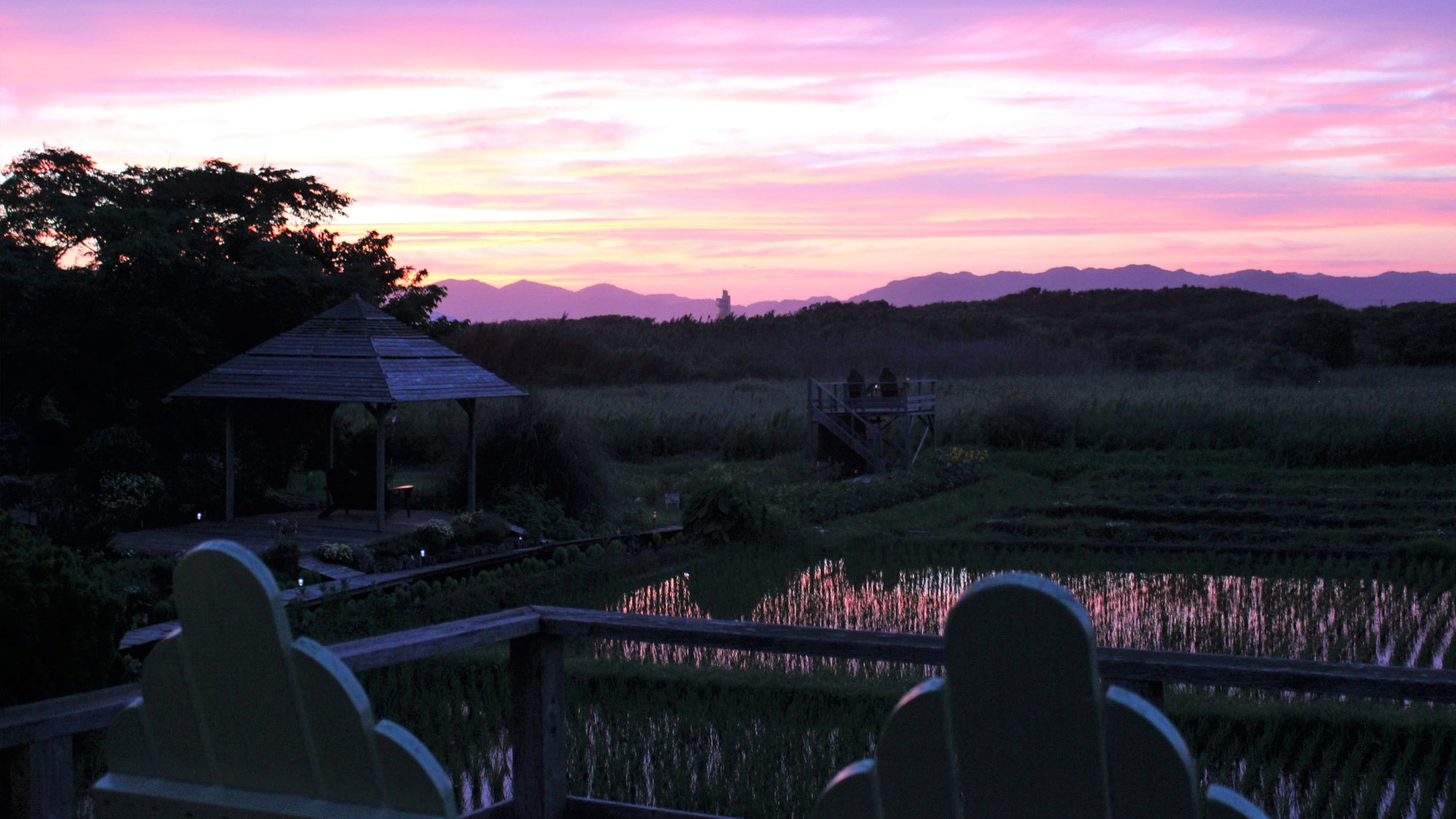 夕闇せまるOPA菜園