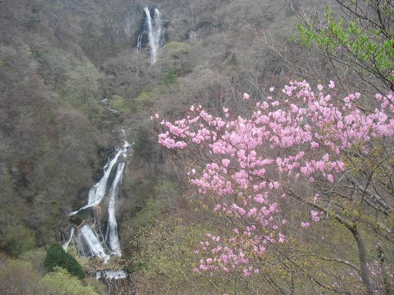 霧降の滝