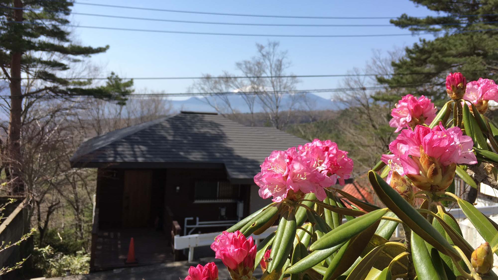 ・【眺望】高台に位置するため、どのお部屋からも山々が望むことができます