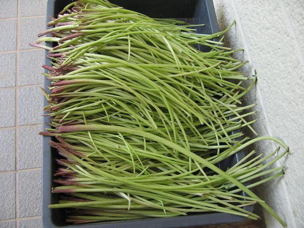 This photo about Kotaki Kosen shared on HyHotel.com