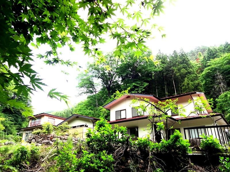 全景2015年5月20日