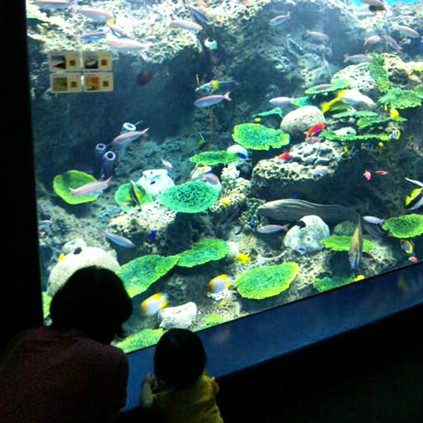 大洗アクアワールド水族館