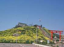 【八戸市】うみねこの蕪島神社(2015年の火災により復興中）