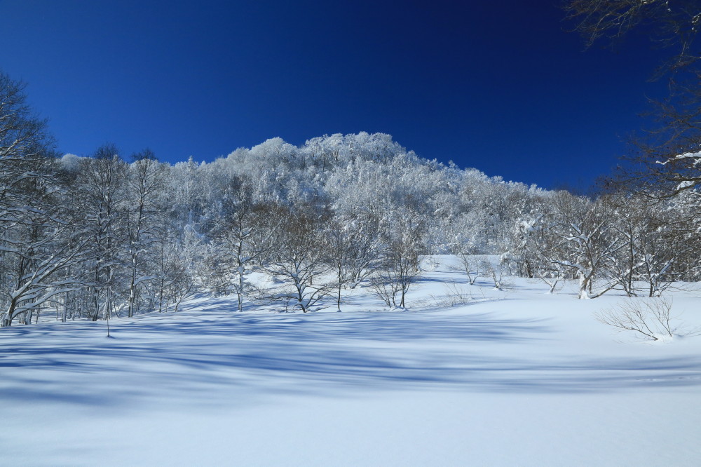 雪山雪原