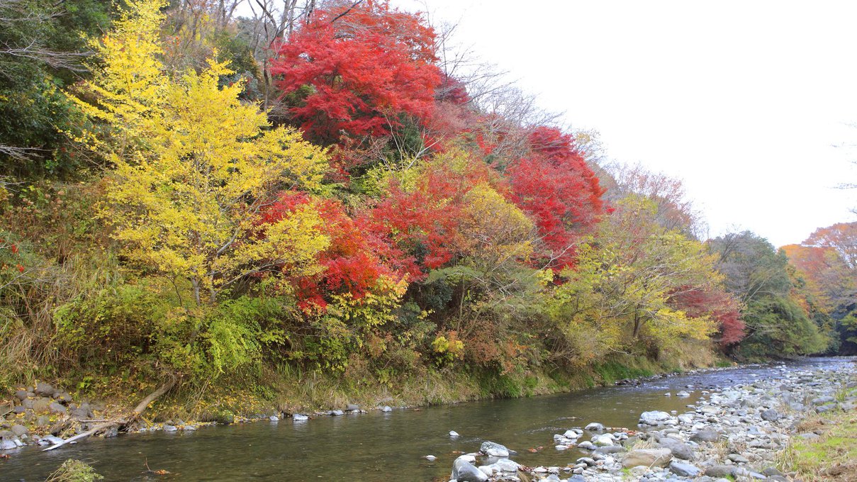 【景観】里山の豊かな自然に囲まれ、季節ごとに違った表情が、その時々の旅情を演出してくれます