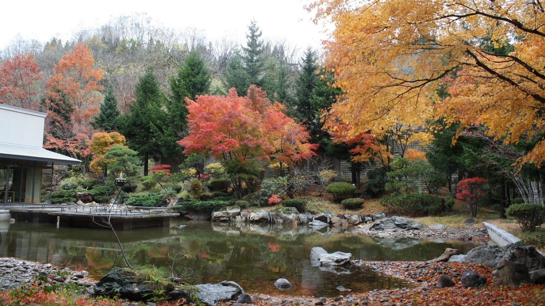 中庭（秋の紅葉）