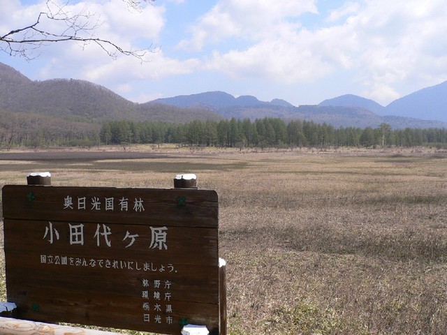 小田代ヶ原