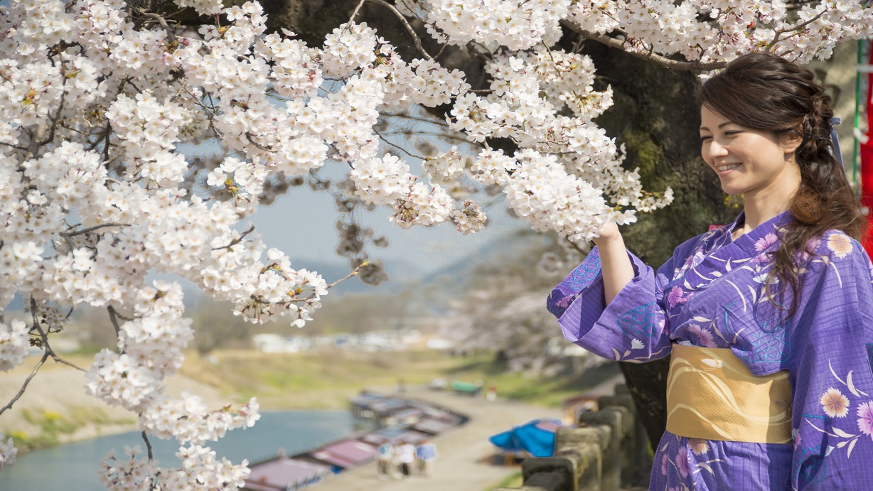 長良堤の桜並木