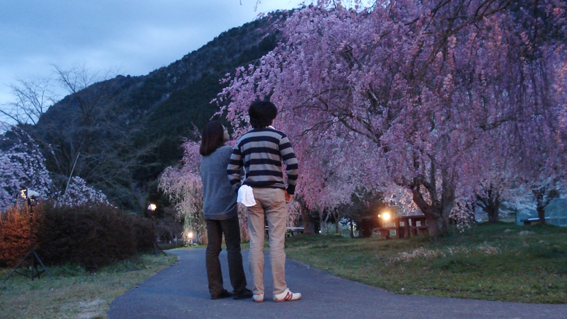 *【桜まつり】毎年4月中旬に長谷運動公園付近の桜をライトアップしています。